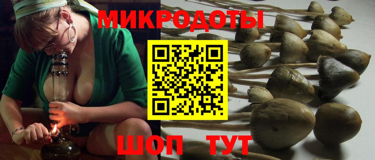 Псилоцибиновые грибы Psilocybe  Вход с VPN  Галлюциногенные грибы Magic Shrooms  Орск 