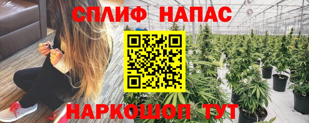 Канабис сатива  Конопля планчик  Вход с VPN  Бошки марихуана план  Орск  Конопля Ganja 